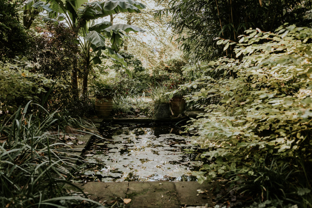 Secret Garden pond