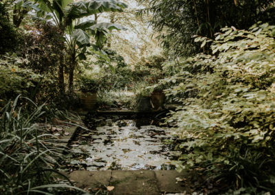 Secret Garden pond