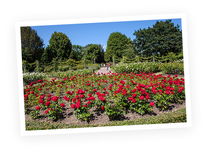 1930s-A-royal-legacy-Large-FRAME