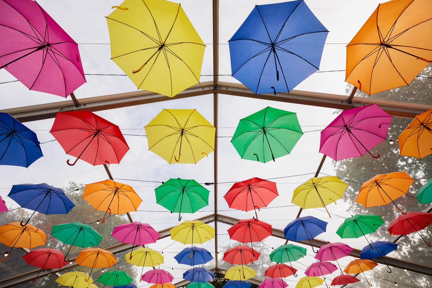 240912 Owenbphoto RegentsShowcase 003