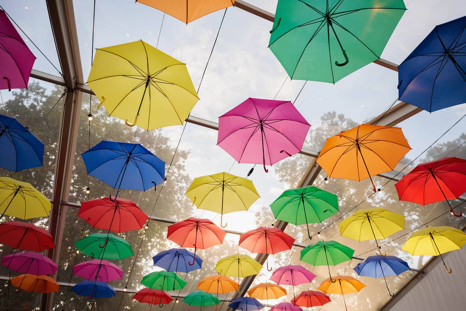 240912-owenbphoto-RegentsShowcase-115