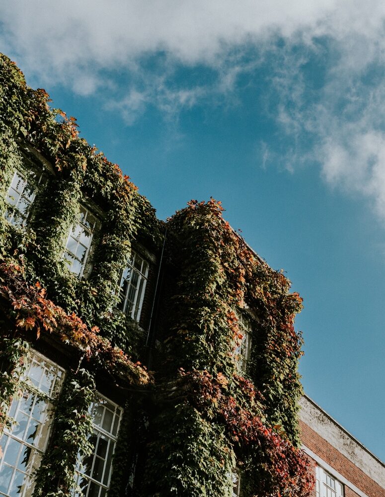 Matthew & Atsushi-47 Matthew & Atsushi-47