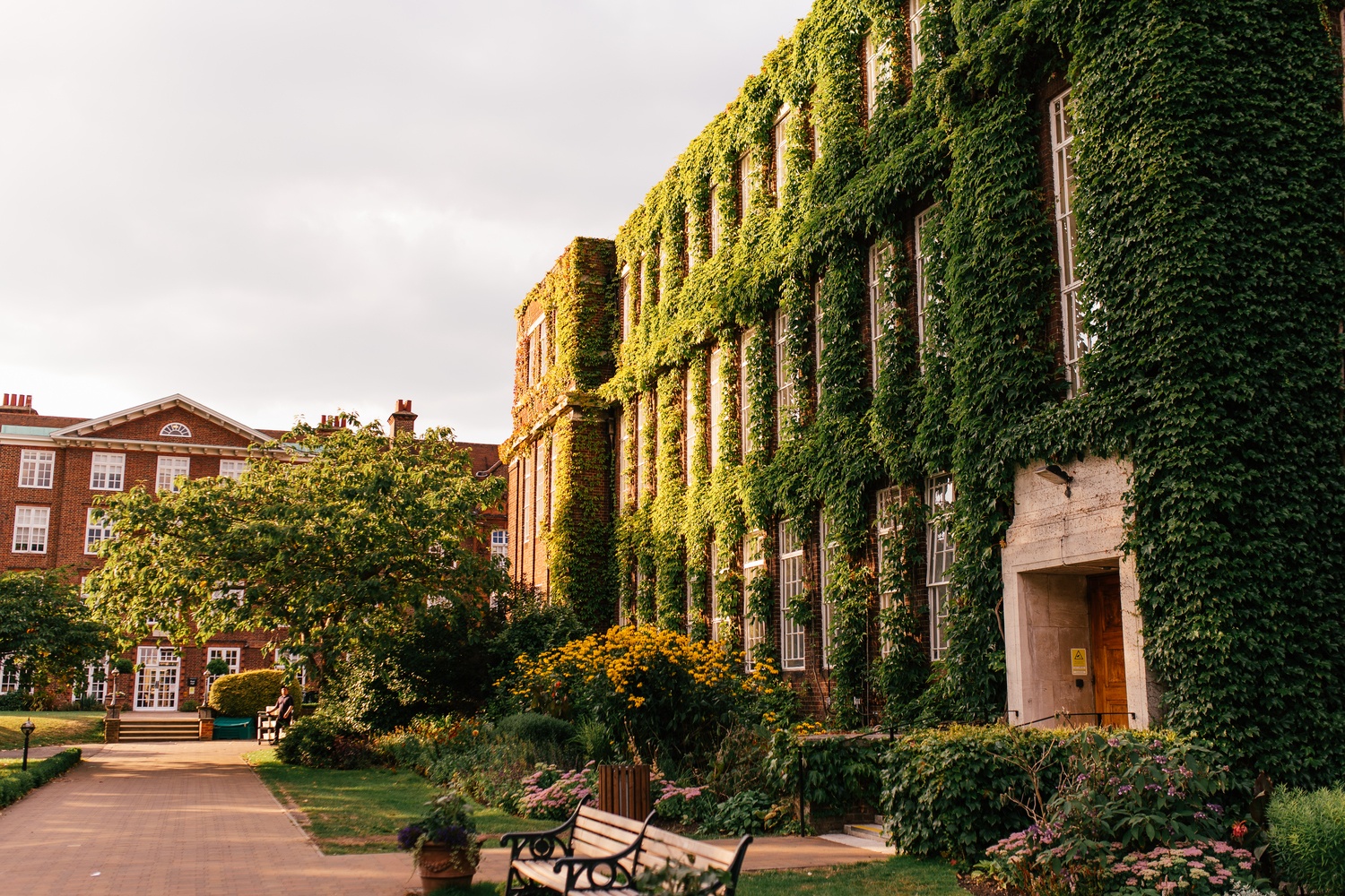 Robyn Joe 448 Of 614