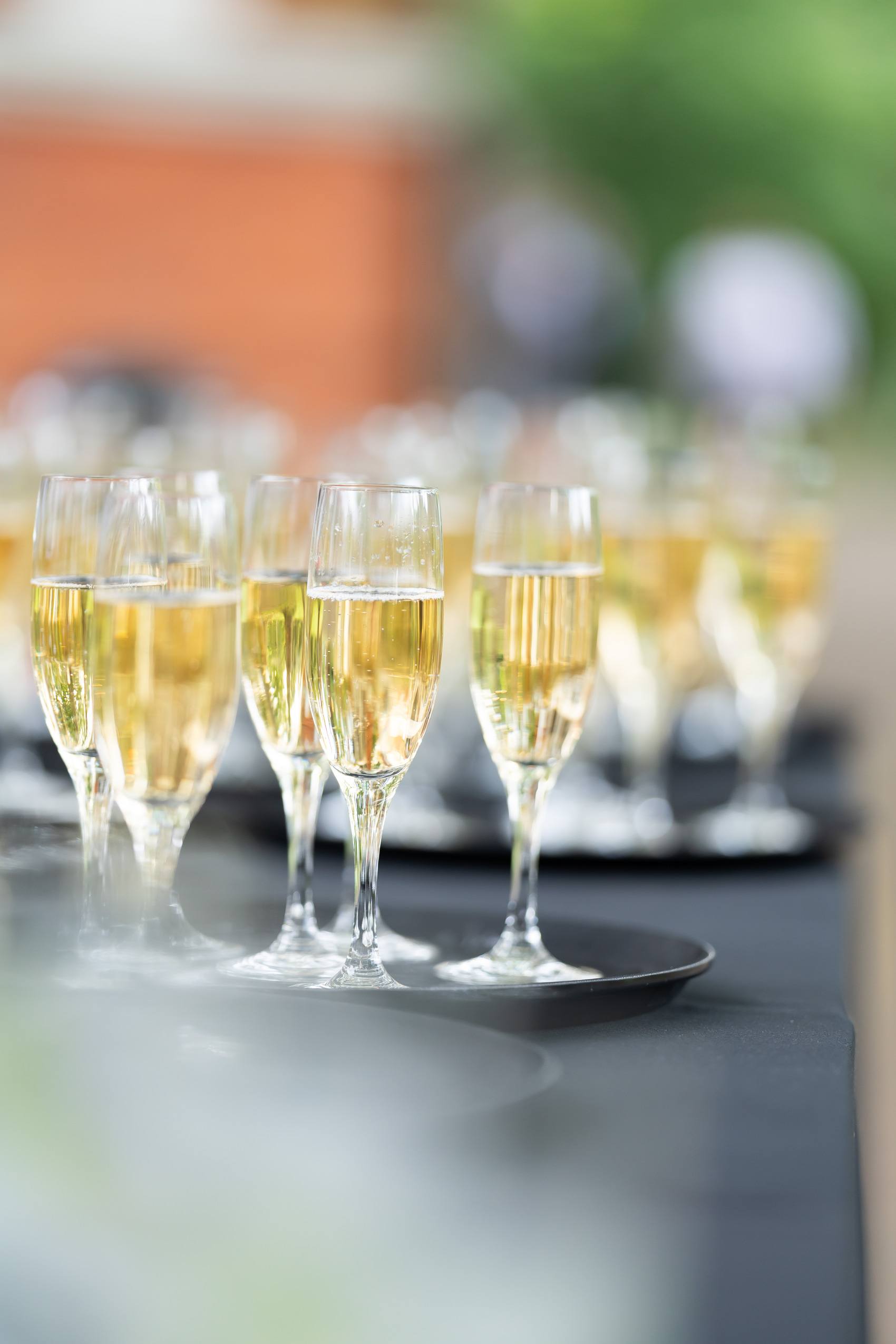 VMP - GlencoreSummer2024-54